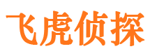 临高婚外情调查取证